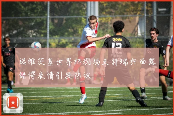 诺维茨基世界杯现场支持瑞典面露错愕表情引发热议