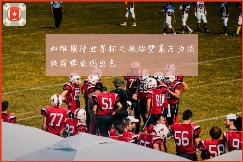 加维期待世界杯之旅称赞莱万为顶级前锋表现出色