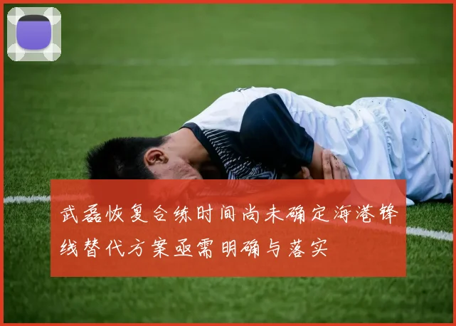 武磊恢复合练时间尚未确定海港锋线替代方案亟需明确与落实